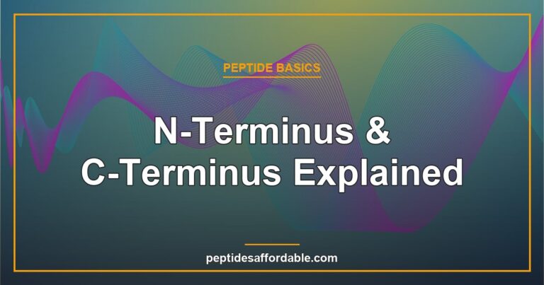 N-terminus and C-terminus explained featured image