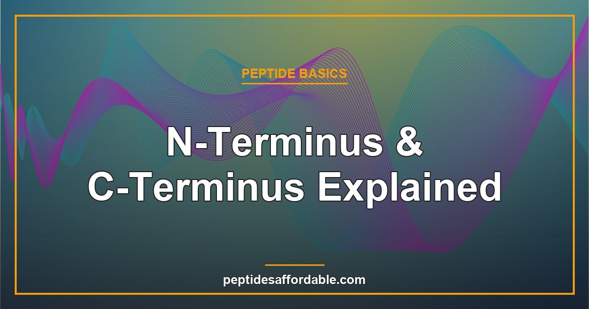 N-terminus and C-terminus explained featured image