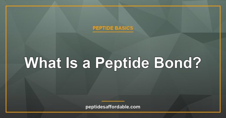 What is a peptide bond explainer featured image