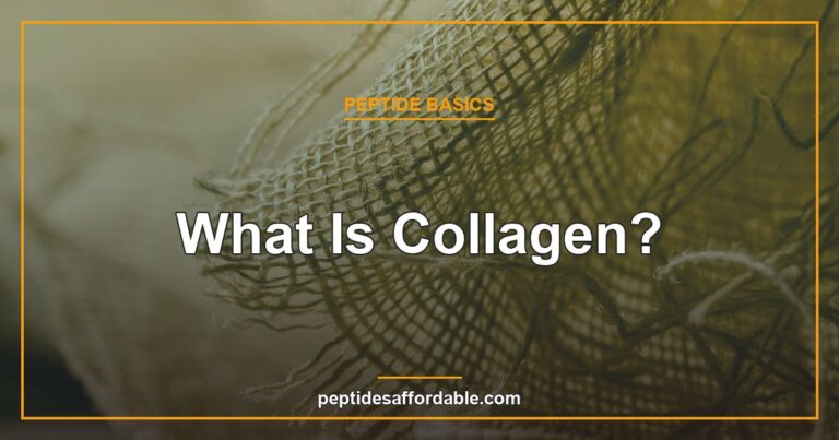 What is collagen explainer featured image